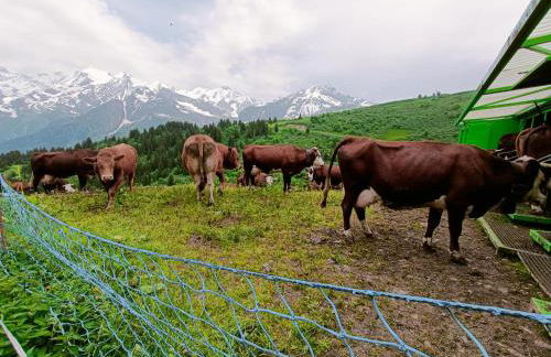 Le Cocon des Cîmes - Photo 15
