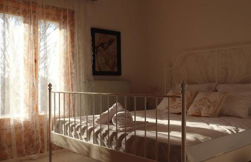 Eleocharis near Amfilochia & Amvrakikos Gulf - Foto 24