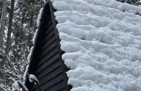 Wald-Chalet Vulkaneifel - Foto 31