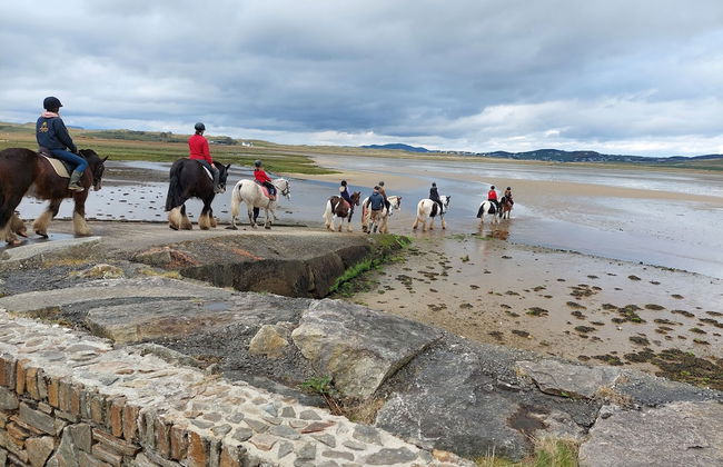 One Bed Apartment in Carrigart for Couple on WAW - Foto 2