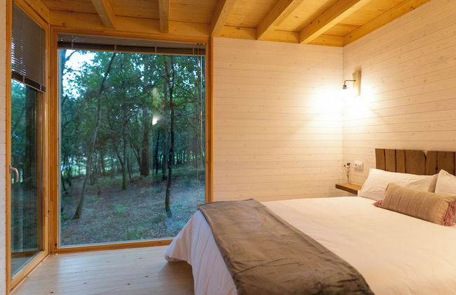 Enoturismo María Manuela - Photo 9