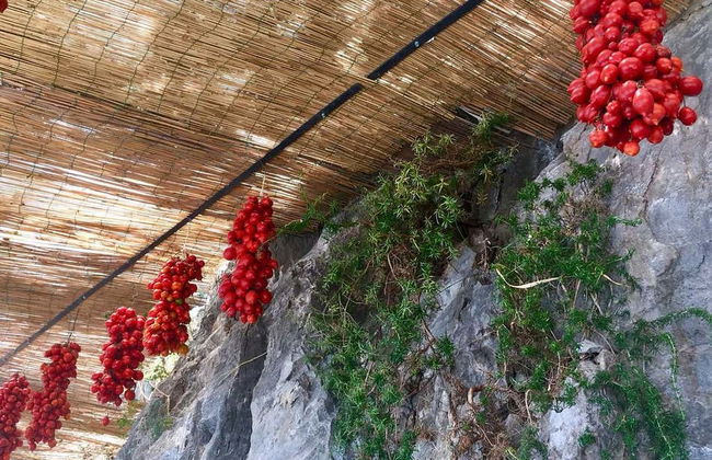 Pompeii & Vesuvius Day Trip - Foto 6