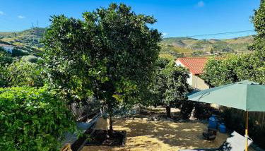 Casa Terras do Douro - Foto 5