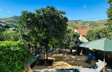 Casa Terras do Douro - Foto 5