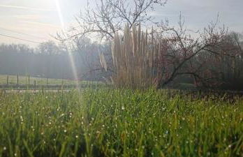 Pleine nature, 10 min zoo Beauval Mareuil sur cher - Foto 21