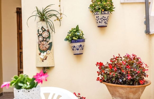 Ca Na Velutina - Foto 12