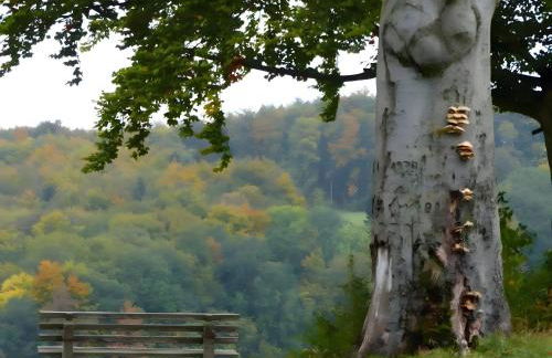 Finnhütte Hohe Klinge Trusetal - Foto 27