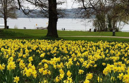 Ferienwohnung Starnberg - Foto 16