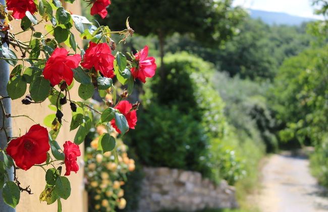 Casa Lisetta - Foto 36