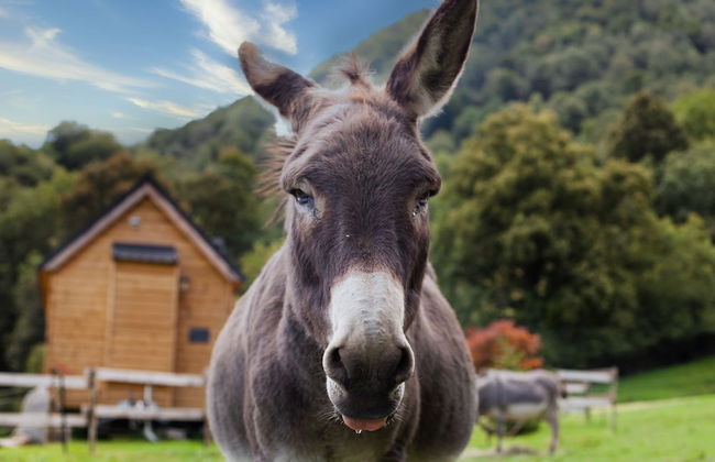 Cab'ânes du Pibeste - Foto 17