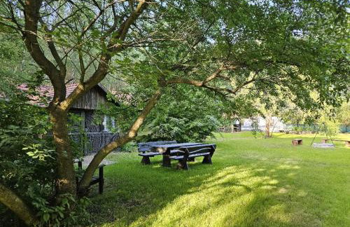 Dom Pod Brzozami Lipinki Bory Tucholskie basen - psy, koty mile widziane! - Photo 33