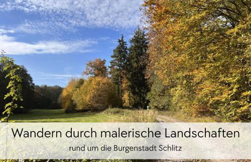 STORCHENNEST - Scandi Style - in der historischen Hinterburg Schlitz - mit Aufzug, Parkplatz & Garten - nahe Fulda und Bad Hersfeld - Foto 16