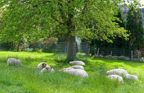 Hoffmanns-Hof-Sinspert - Foto 31