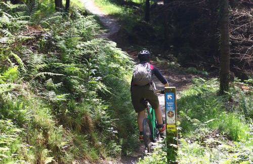 Ladyvale Barn - Foto 19