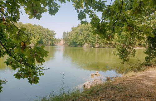 Maison avec piscine chauffée en résidence, 4 ou 5 pers, RDC, lac, nature et pêche - Foto 32
