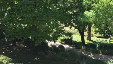 Bastide Barbeiranne - Photo 4, Garden