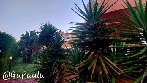 Casa Naturista GaPaula - VeraPlaya - FKK - Foto 5