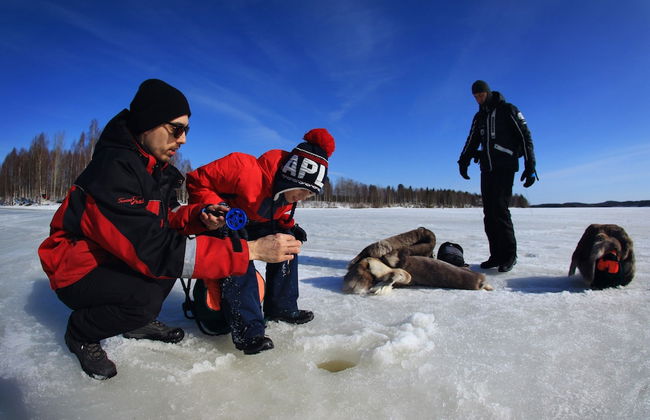 Hotel Katkavaara Aurora Apartments - Foto 35