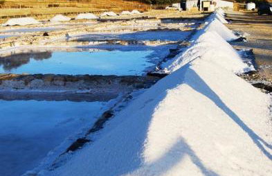 La Payana, Prado del Rey muy cerca de El Bosque - Foto 26