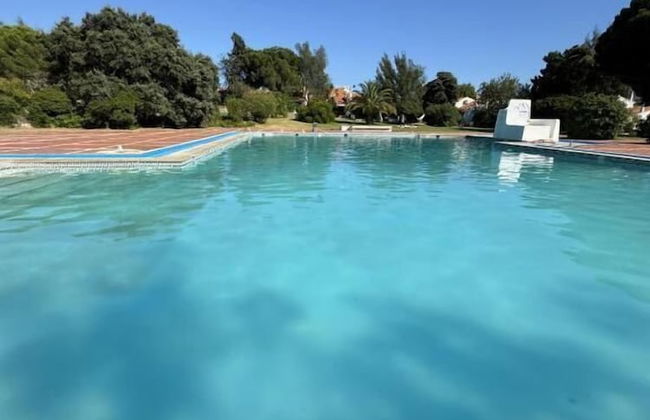 Magna Oura - Foto 23