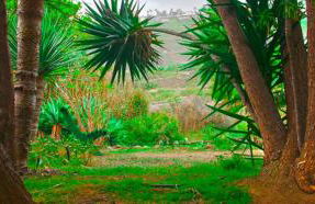 Apartments Finca El Rincón - Foto 39