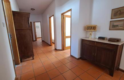 Árvore Cozy com Jardim - Foto 14