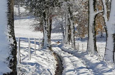 Gîte Mascotte - Foto 22