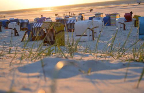 Dünenmeer - Photo 16