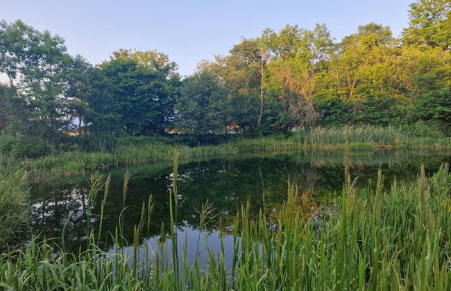 4 Person Holiday Home in Nibe-by Traum - Foto 8