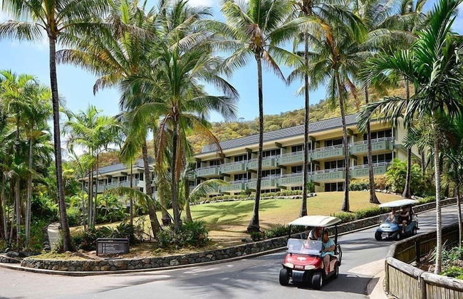 Hibiscus 006 - Foto 21