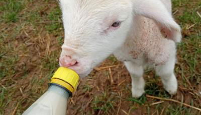 Wunderwelt Betzenstein familiär-ländlich-modern - Foto 2