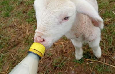 Wunderwelt Betzenstein familiär-ländlich-modern - Foto 2