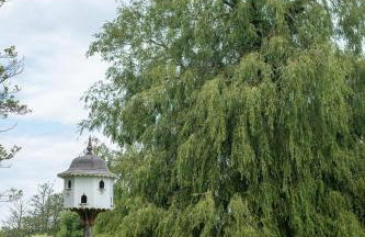 The Cart Lodge - Aldeburgh Coastal Cottages - Foto 23
