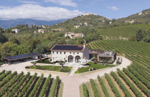 Progress Country & Wine House - Photo 3