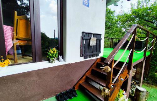UNDER THE GREEN ROOF - Foto 42