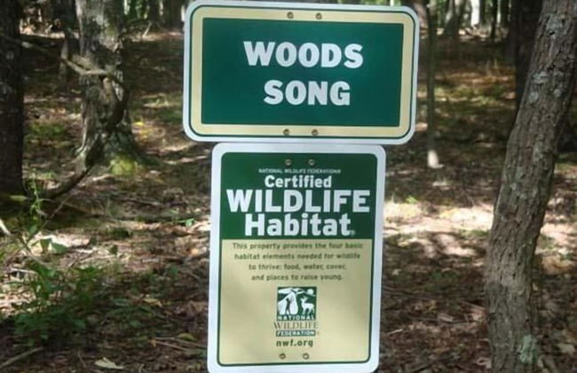 Woods Song - Natures Promise - Foto 1