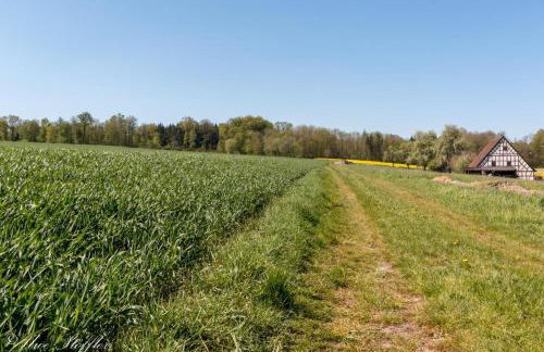 Ferienhaus ScheunenRefugio - Foto 31