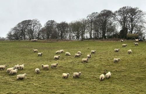 Keepers Cottage - Photo 36