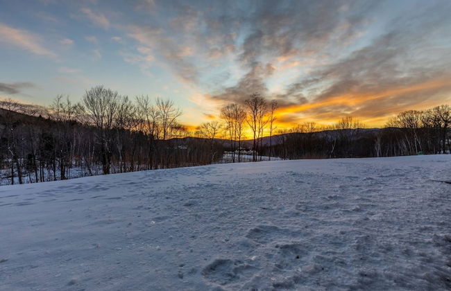 Loon Escape - Photo 8