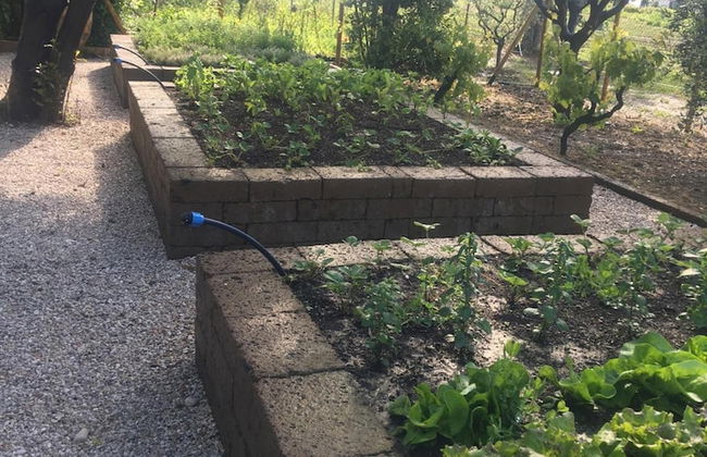 Villa Mirella Beach - Photo 37