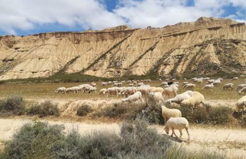 Apartamento El Estrecho de Arguedas - Foto 20