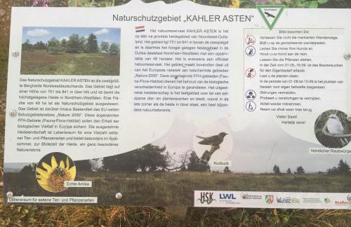 Berg- und Seeblick - Foto 35