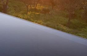 “CapriOleum” esclusive place - Foto 36