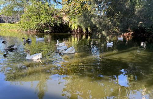 Unwind Island - Photo 31