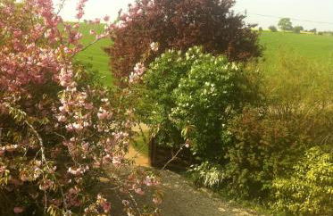 Whitchurch Farm Guesthouse - Foto 28