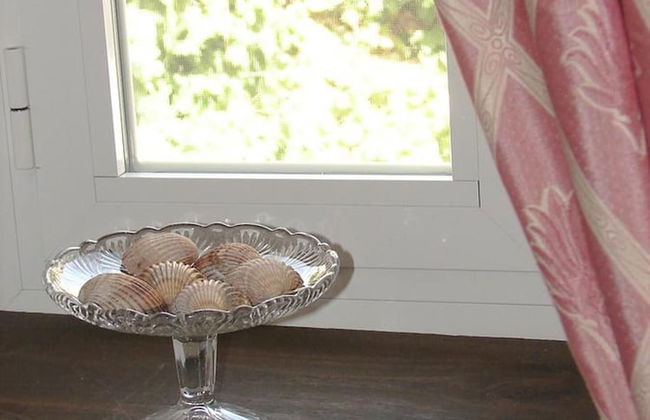 Magina Dream Pegalajar - Foto 56