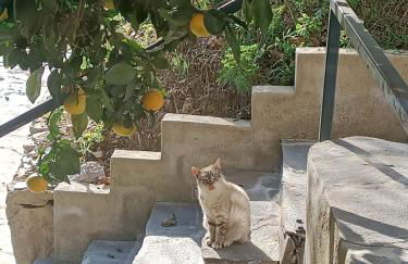 Casa Hegoa - Foto 14