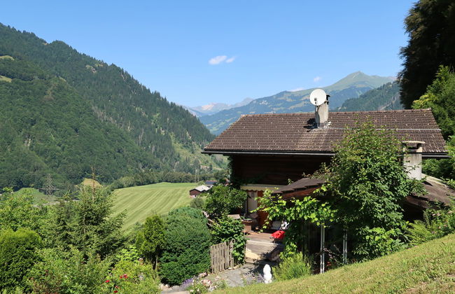 Chalet Bergnest - Foto 28