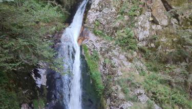 Ferienwohnungen Nordschwarzwald - Photo 5