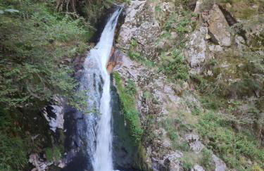 Ferienwohnungen Nordschwarzwald - Foto 5